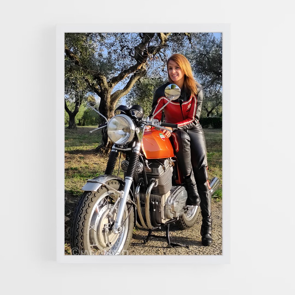 Poster Éclat Laverda (vue 3)