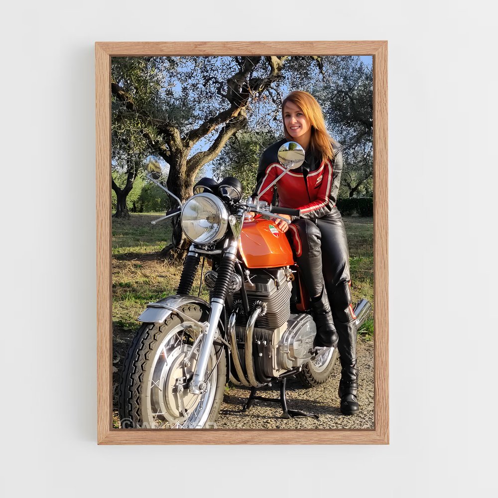 Poster Éclat Laverda (vue 4)