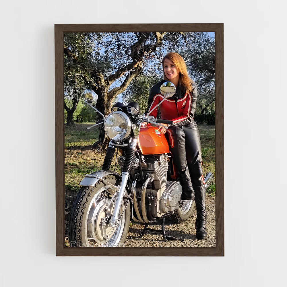 Poster Éclat Laverda (vue 5)