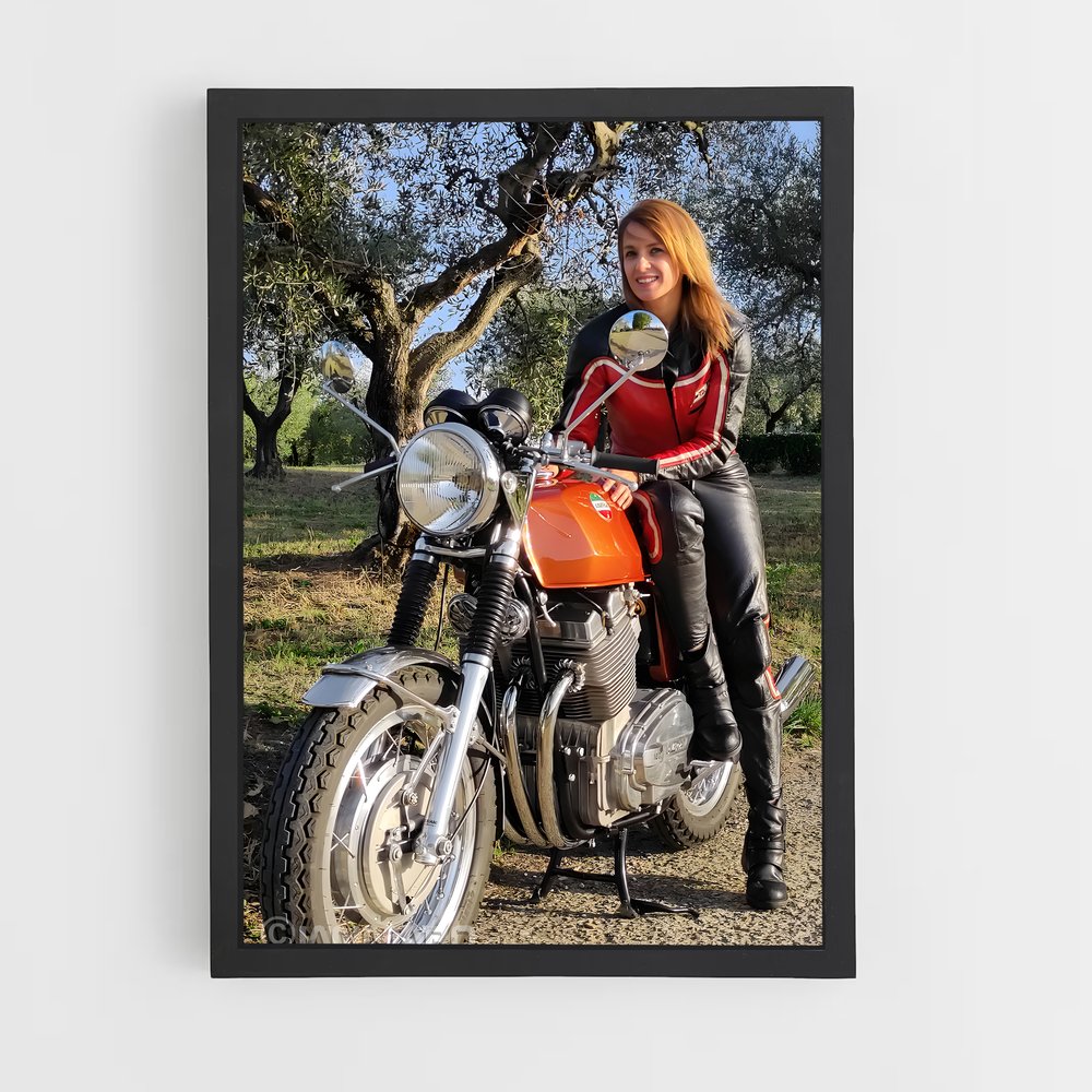 Poster Éclat Laverda (vue 2)