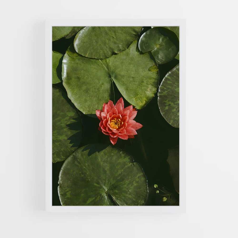 Poster Fleur de Rouge – affiche Lotus (vue 3)
