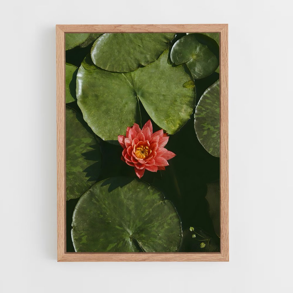 Poster Fleur de Rouge – affiche Lotus (vue 4)