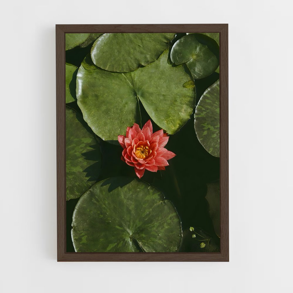 Poster Fleur de Rouge – affiche Lotus (vue 5)
