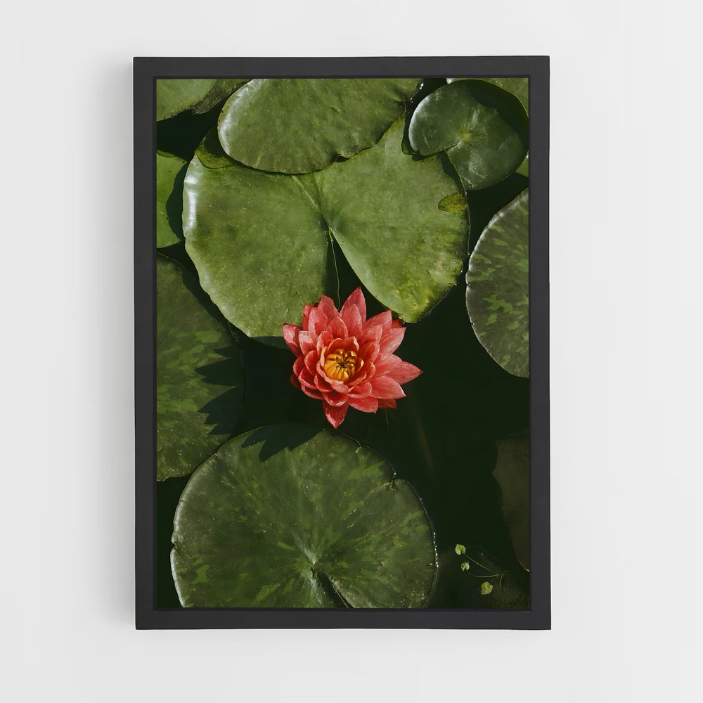 Poster Fleur de Rouge – affiche Lotus (vue 2)