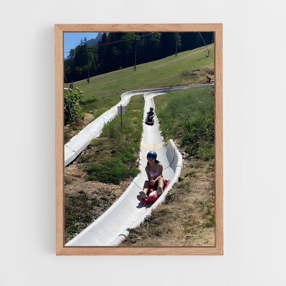 Poster Skate et Liberté – affiche Luge (vue 4)