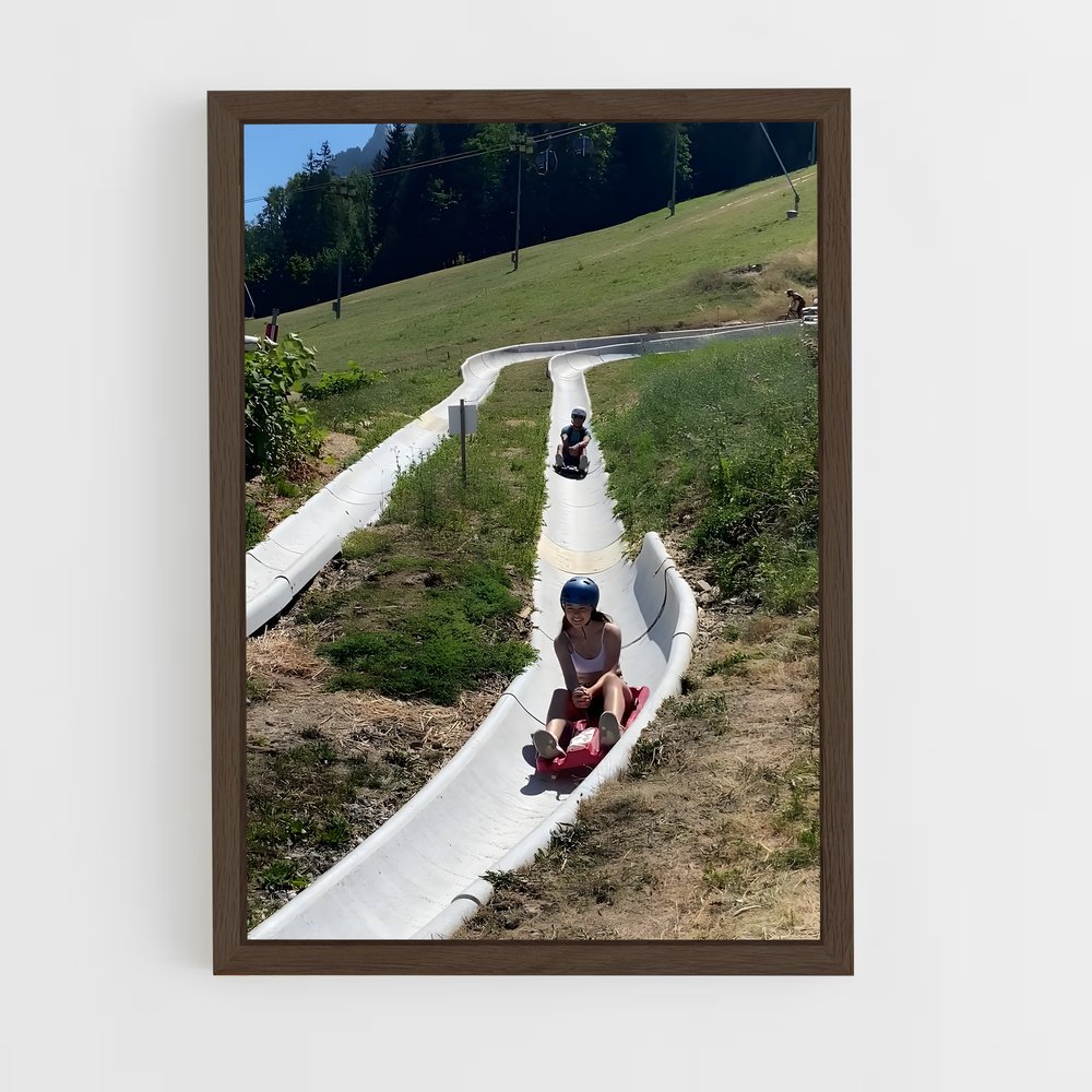 Poster Skate et Liberté – affiche Luge (vue 5)