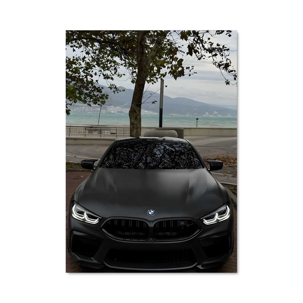 Poster Vision BMW