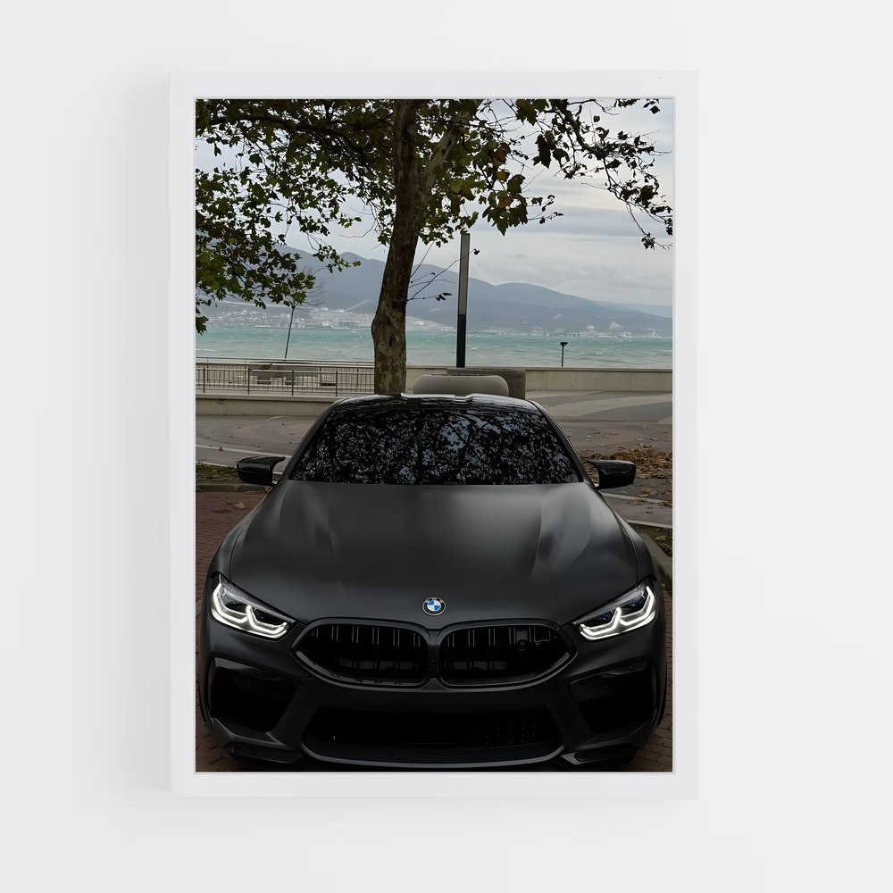 Poster Vision BMW (vue 3)
