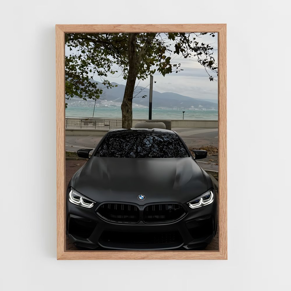 Poster Vision BMW (vue 4)