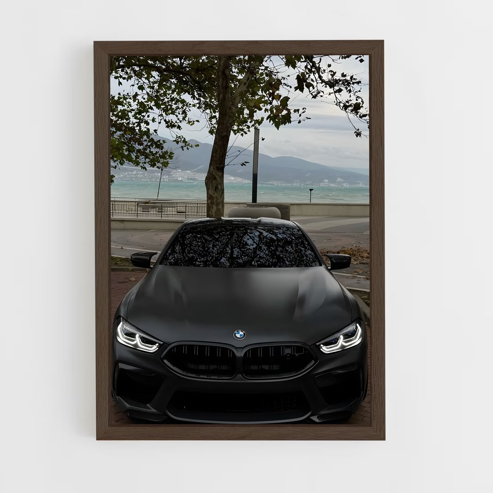 Poster Vision BMW (vue 5)
