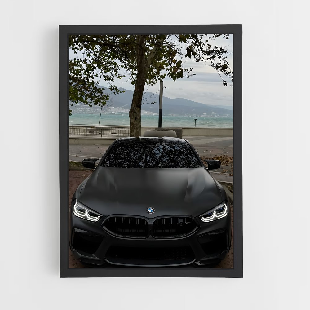 Poster Vision BMW (vue 2)