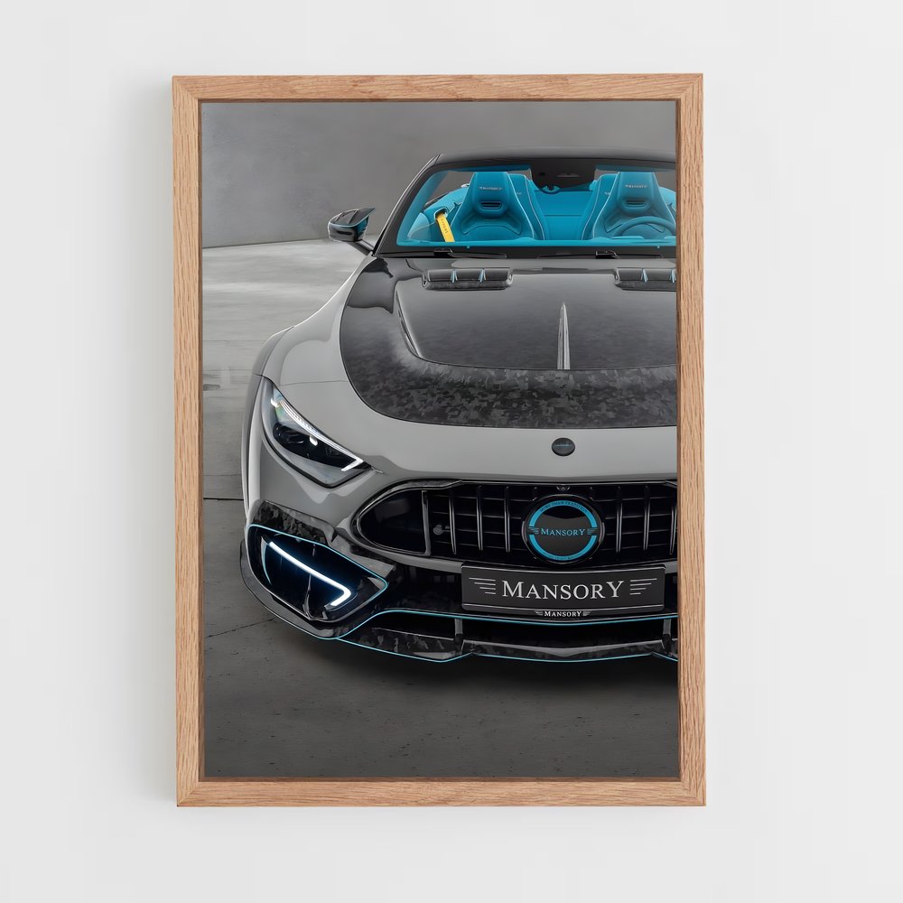 Poster Maso Fury – affiche Mansory (vue 4)