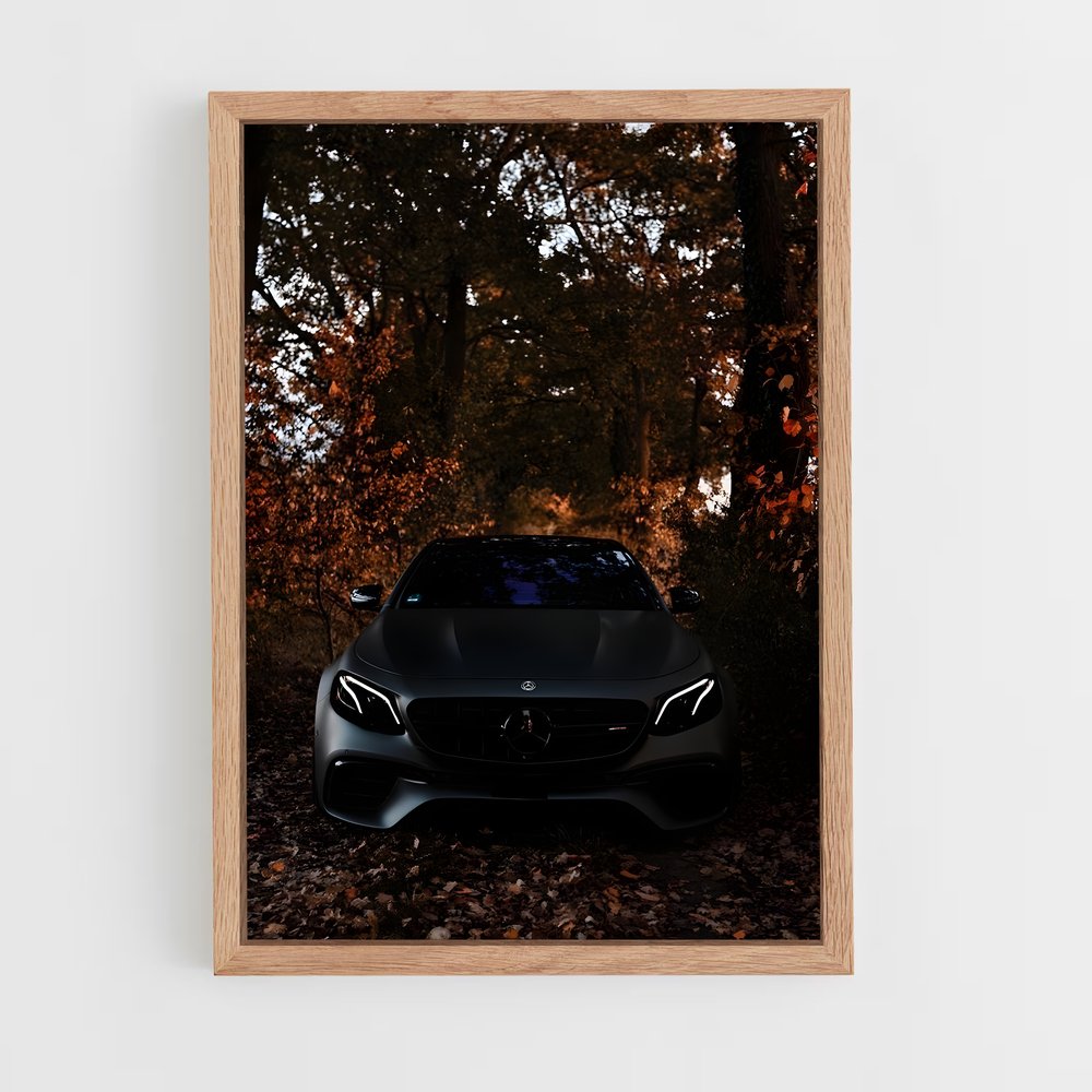Poster Mercedes dans les Bois (vue 4)