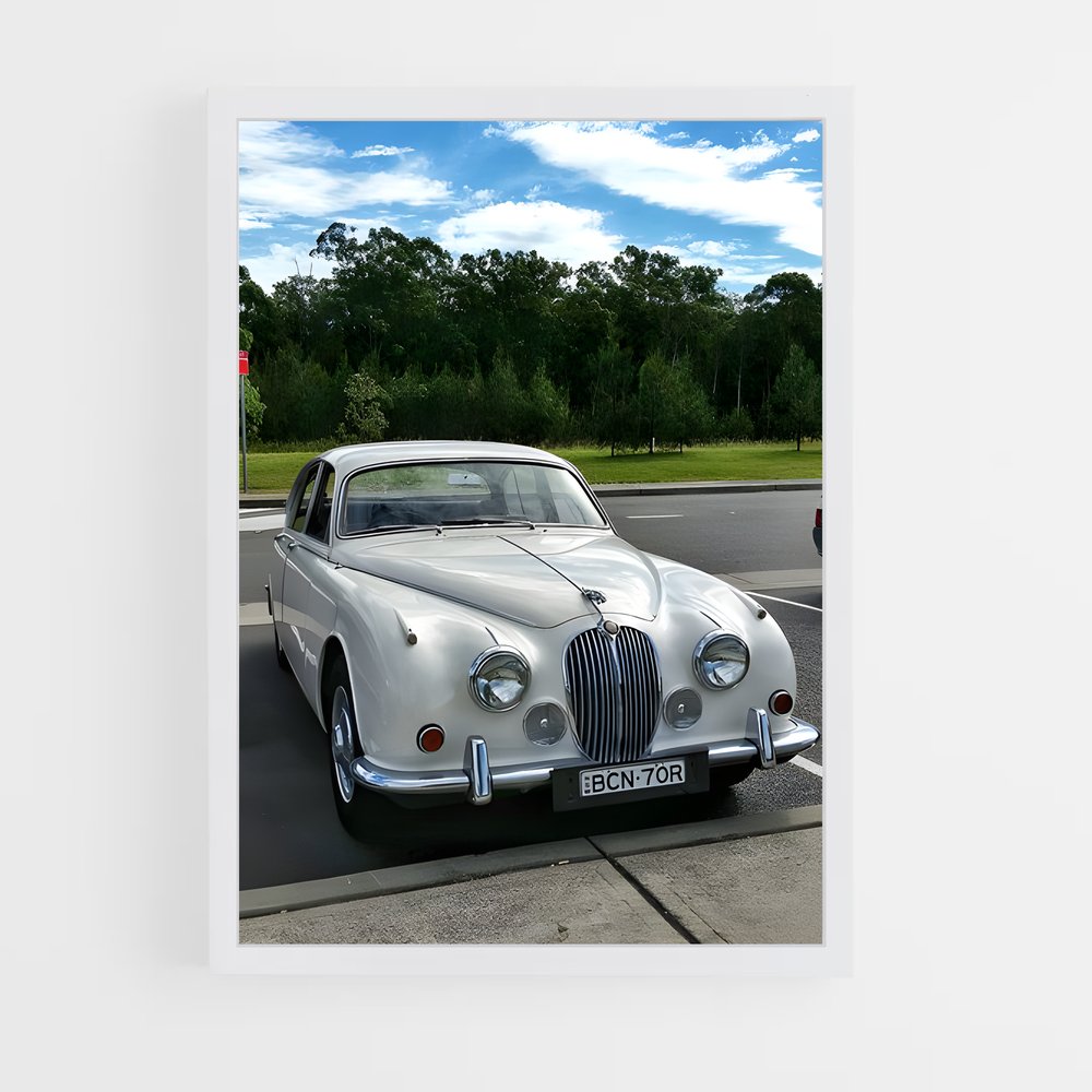 Poster L'asphalte Saisissant – affiche Jaguar (vue 3)