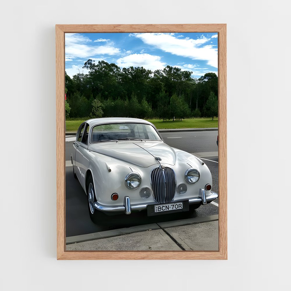 Poster L'asphalte Saisissant – affiche Jaguar (vue 4)