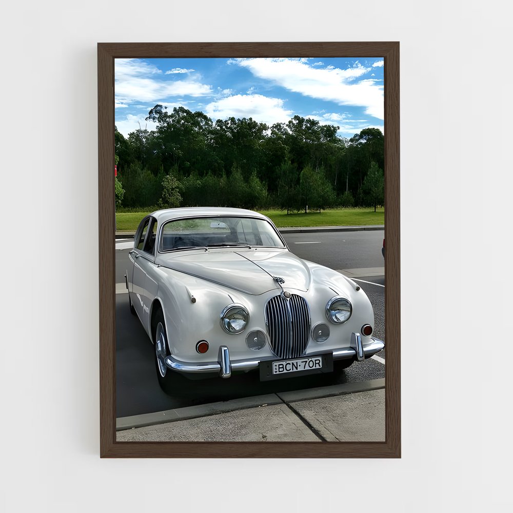 Poster L'asphalte Saisissant – affiche Jaguar (vue 5)