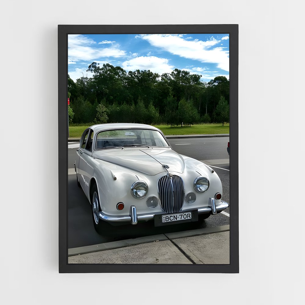 Poster L'asphalte Saisissant – affiche Jaguar (vue 2)