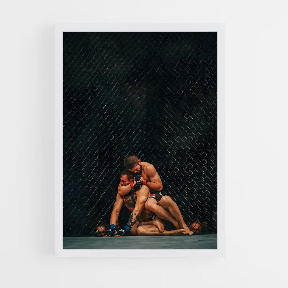 Poster Mma limites (vue 3)
