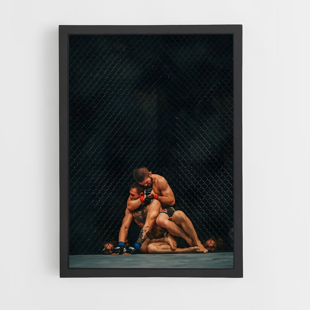Poster Mma limites (vue 2)