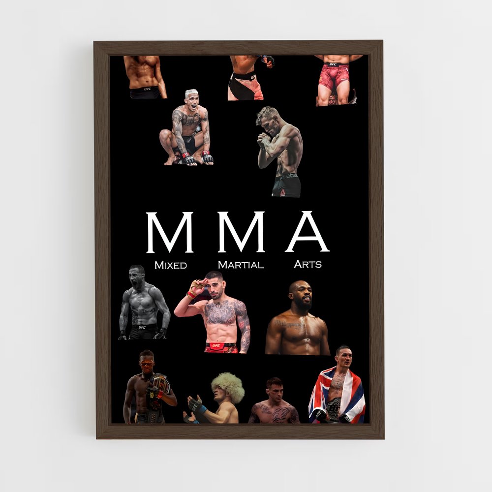 Poster Mma plonge (vue 5)
