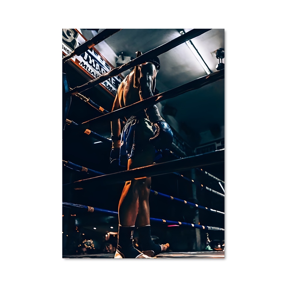 Poster Mma ring