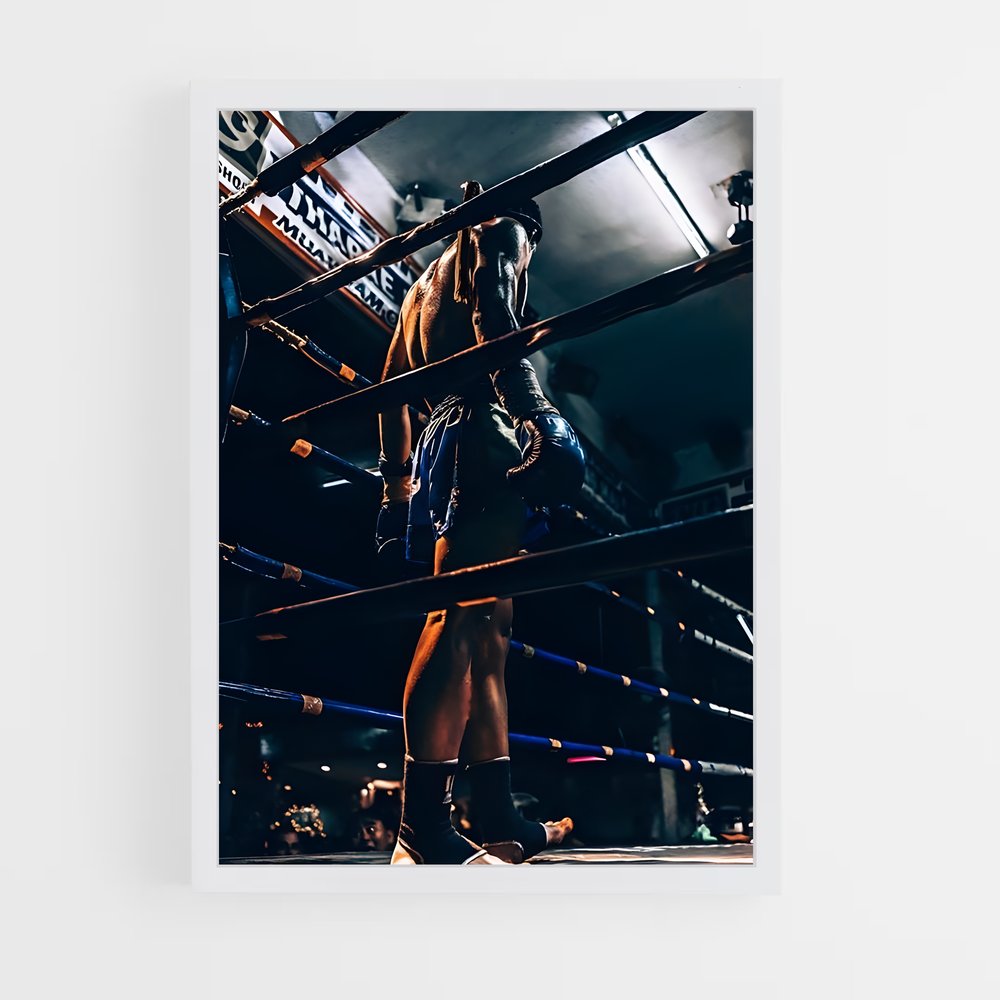 Poster Mma ring (vue 3)