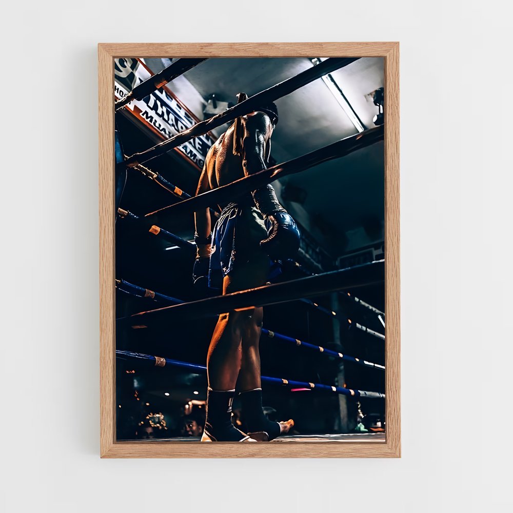 Poster Mma ring (vue 4)