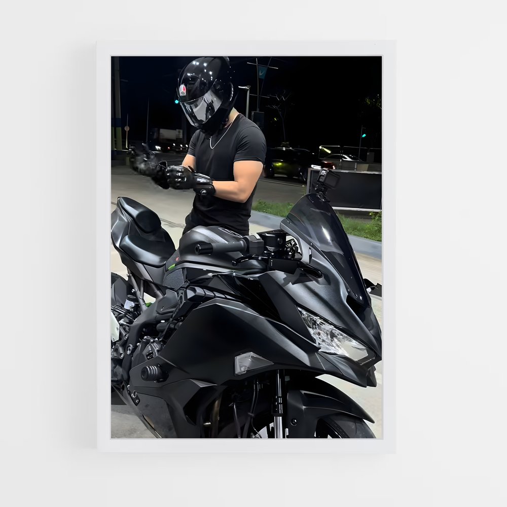 Poster Ride and Roar (vue 3)