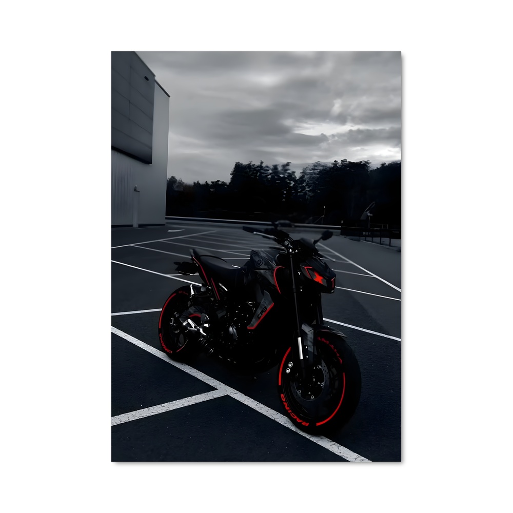 Poster Sublime Mt-09