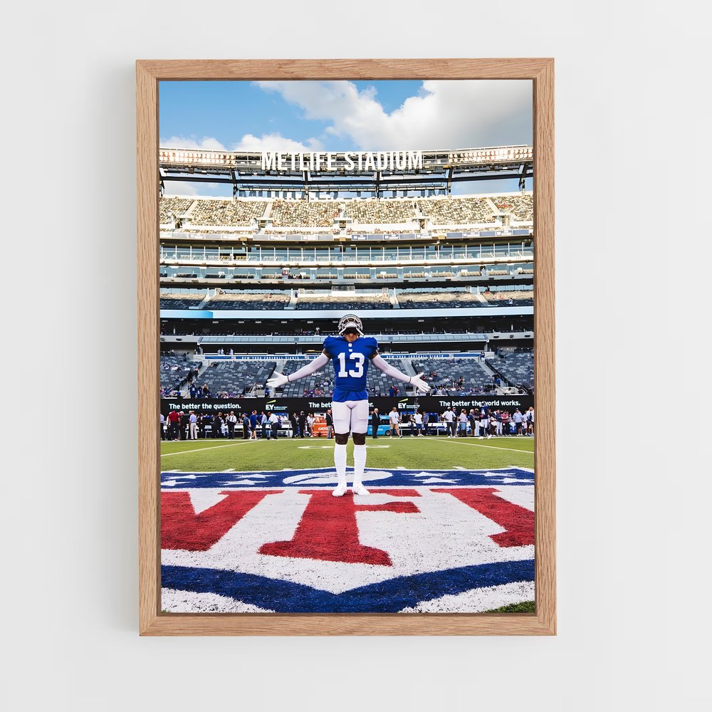 Poster Nfl terrain Stadium (vue 4)