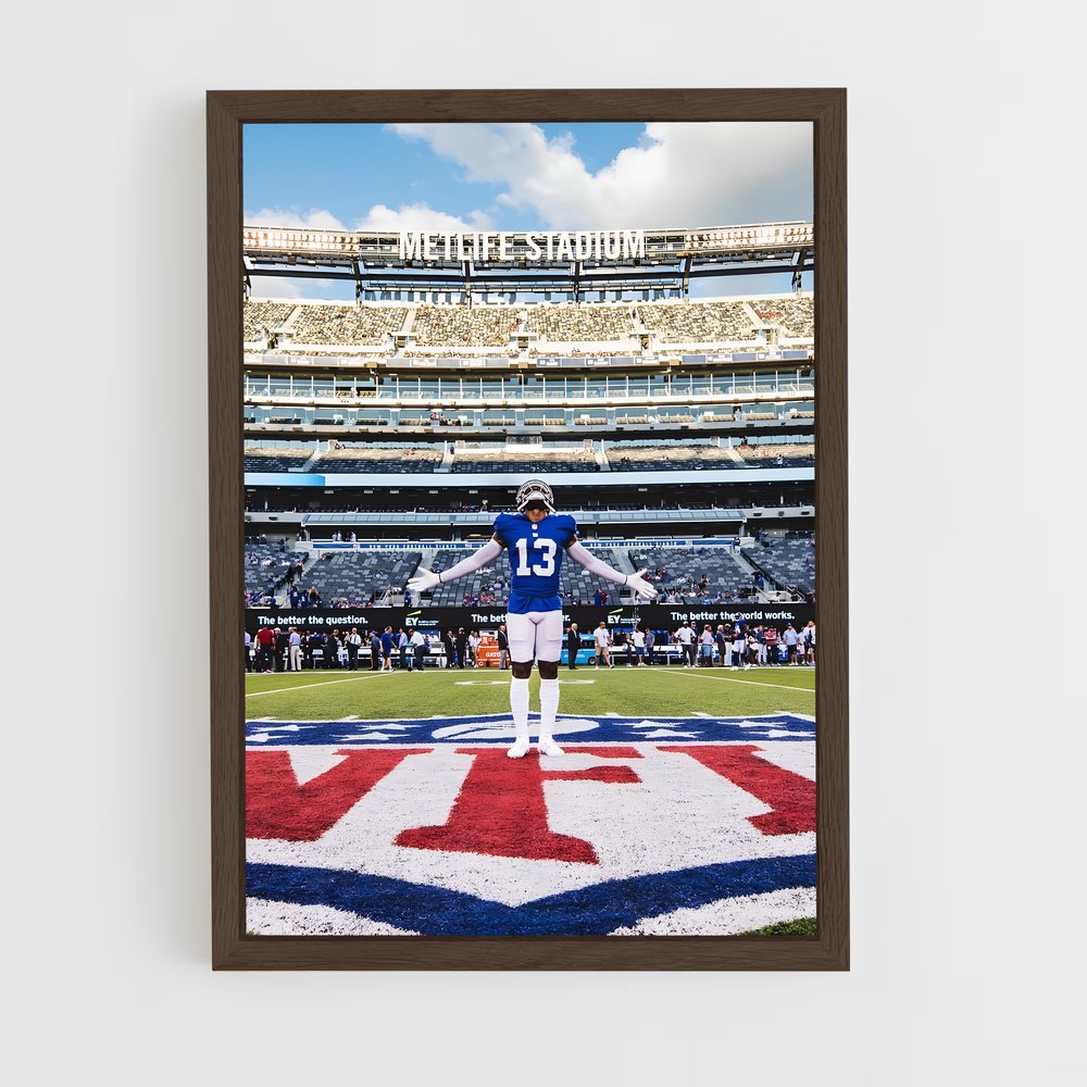 Poster Nfl terrain Stadium (vue 5)