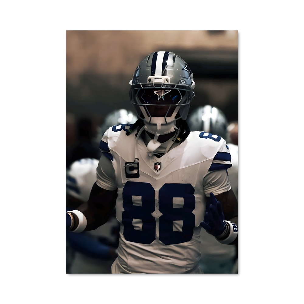 Poster Nfl de terrain