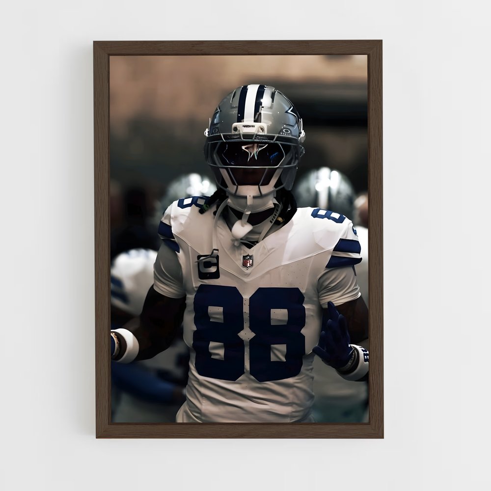Poster Nfl de terrain (vue 5)