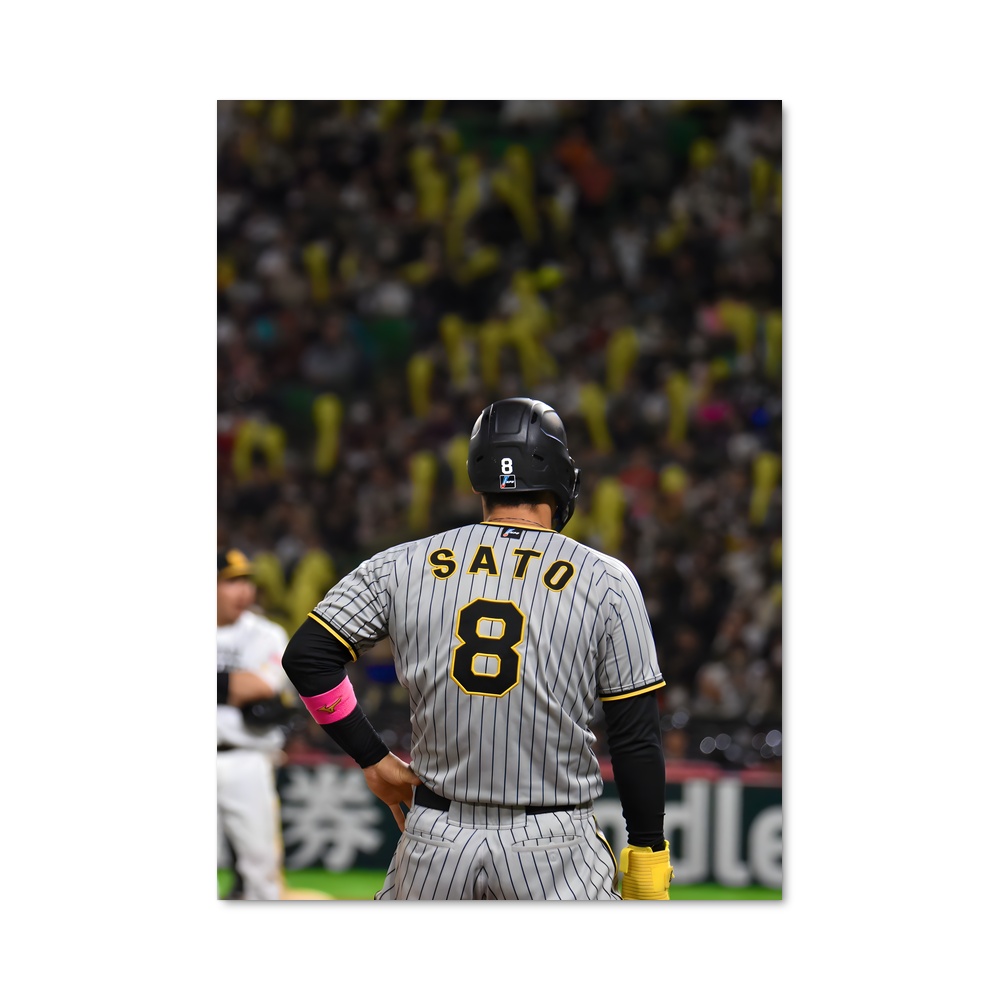 Poster Npb Swing
