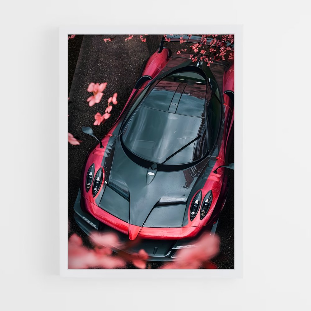 Poster Rouges d'Automne – affiche Pagani (vue 3)