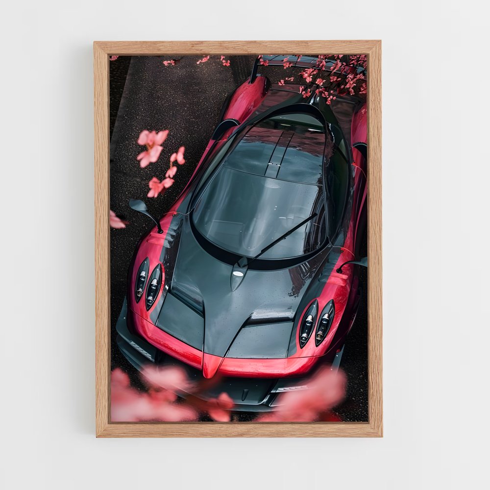 Poster Rouges d'Automne – affiche Pagani (vue 4)