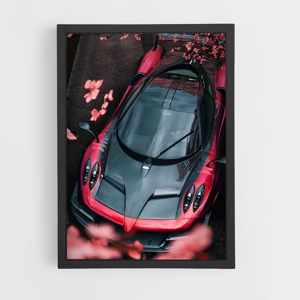 Poster Rouges d'Automne – affiche Pagani (vue 2)