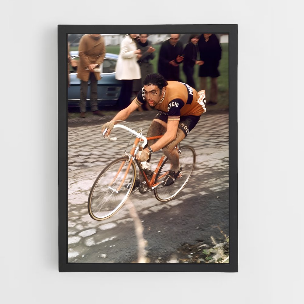 Poster Roubaix en Selle – affiche Cyclisme (vue 2)