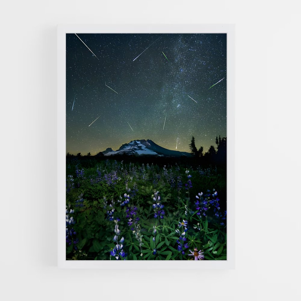 Poster Étoiles des Perseids – affiche Univers (vue 3)