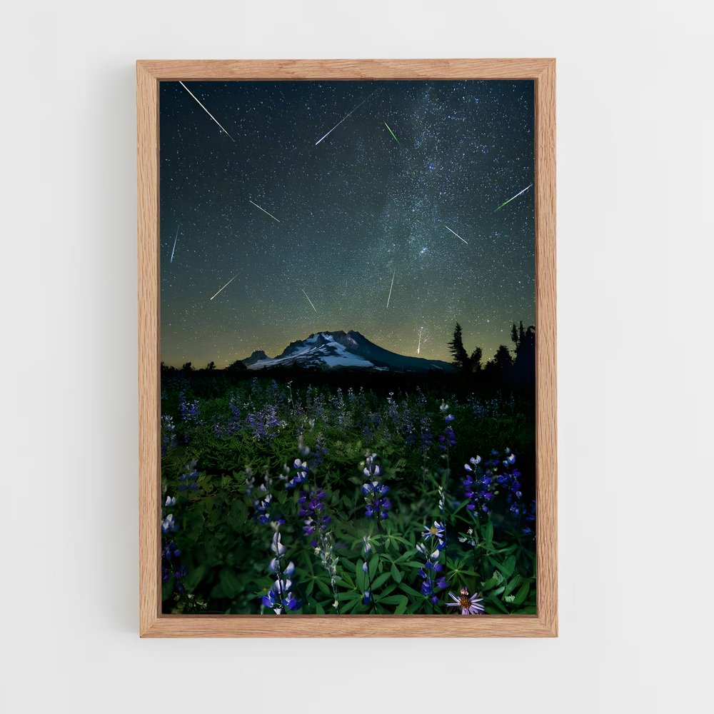 Poster Étoiles des Perseids – affiche Univers (vue 4)
