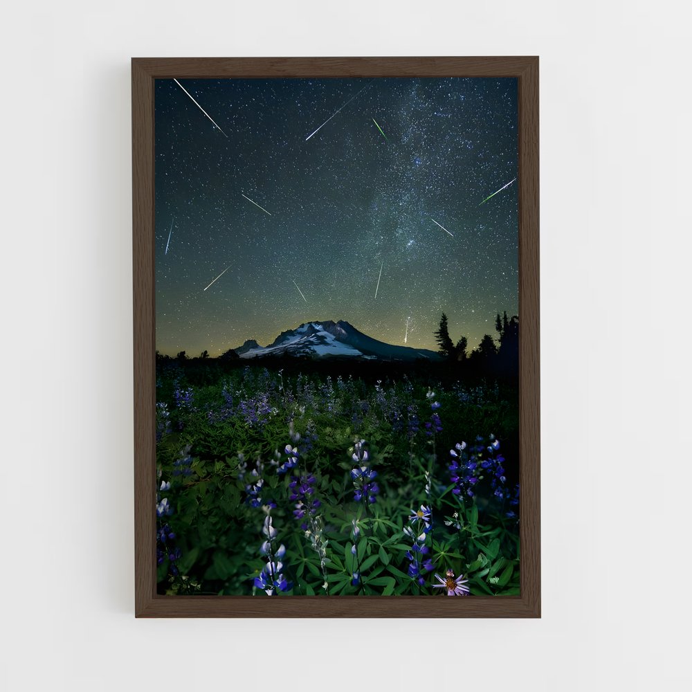 Poster Étoiles des Perseids – affiche Univers (vue 5)