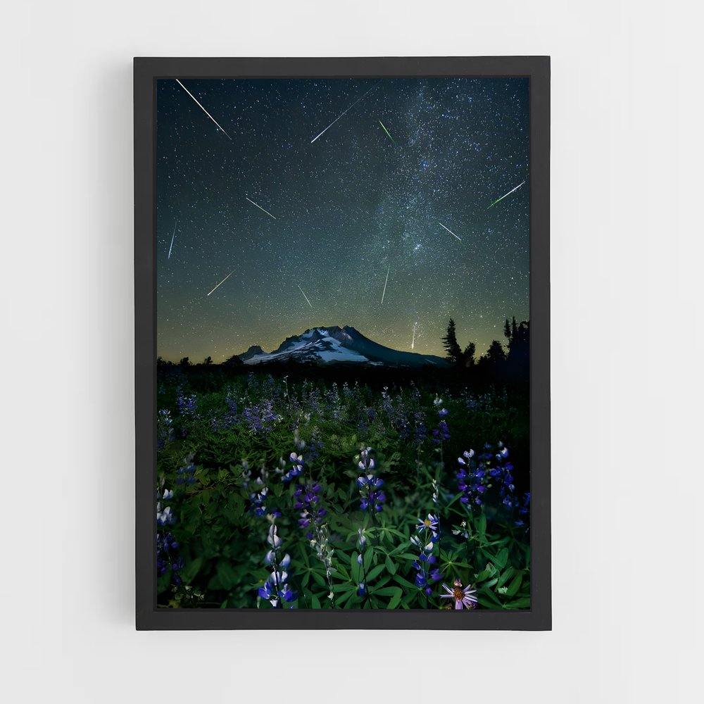 Poster Étoiles des Perseids – affiche Univers (vue 2)