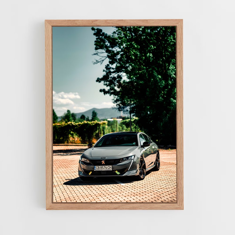 Poster Peugeot sur Brique (vue 4)