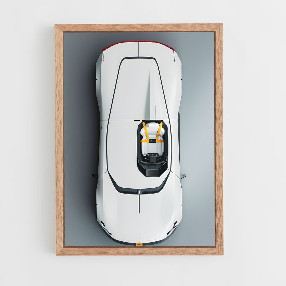 Poster Polestar Vibes (vue 4)