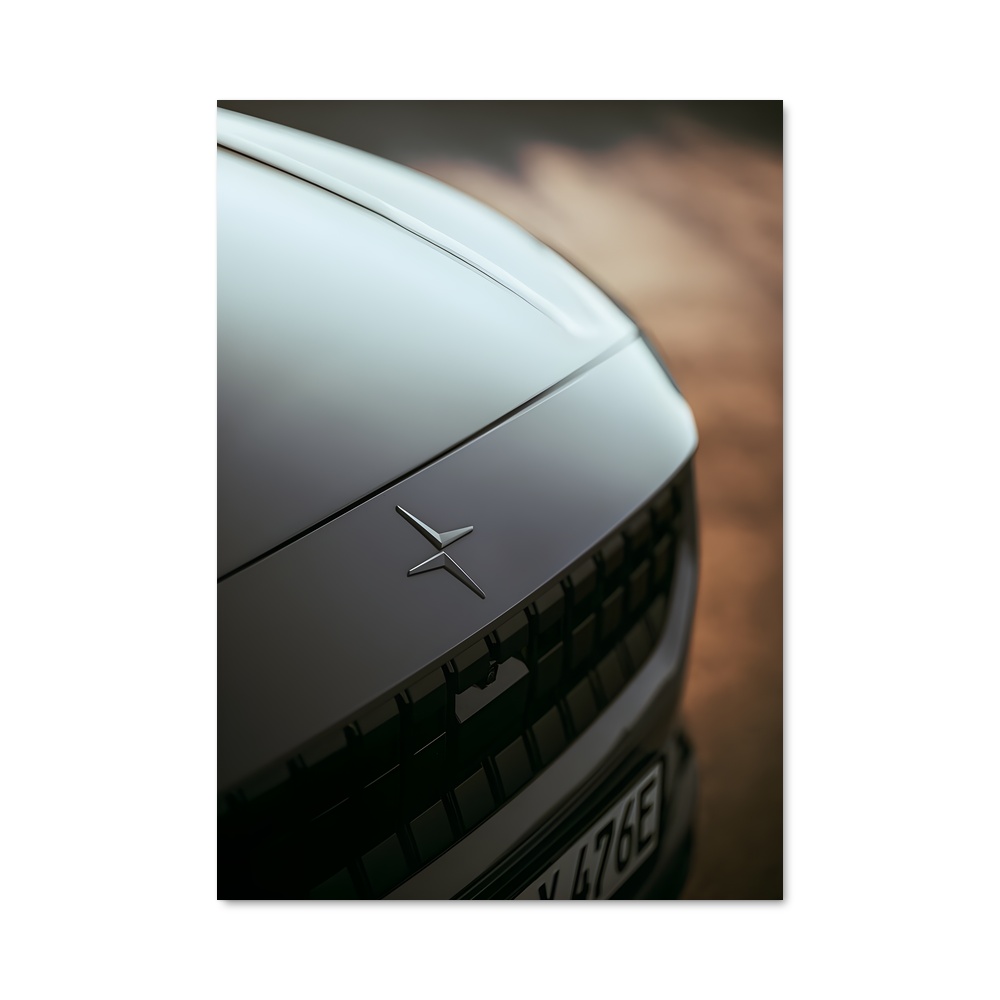 Poster enchanteur de Polestar