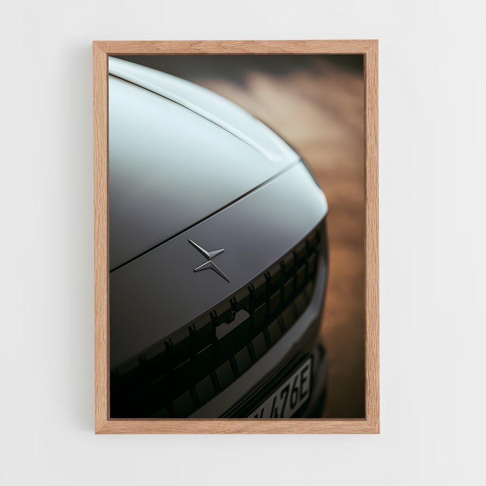 Poster enchanteur de Polestar (vue 4)