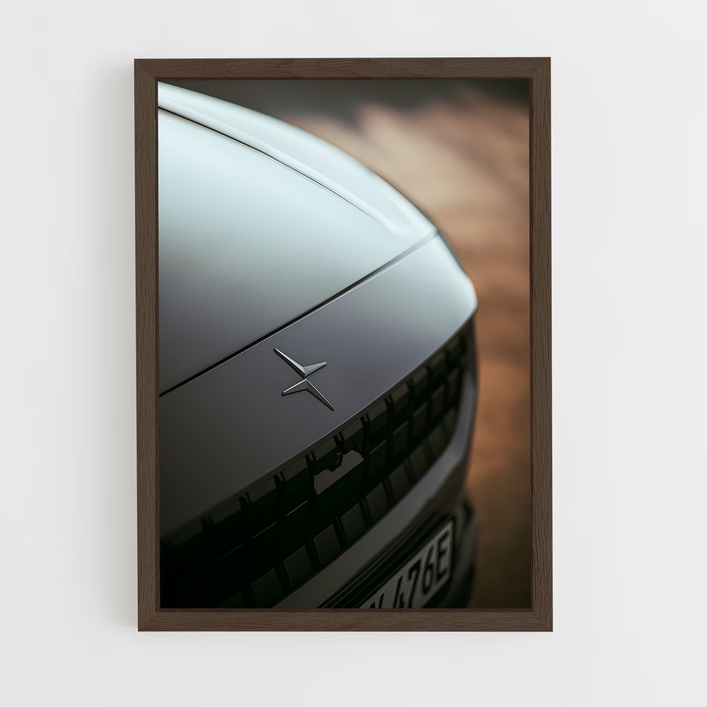 Poster enchanteur de Polestar (vue 5)