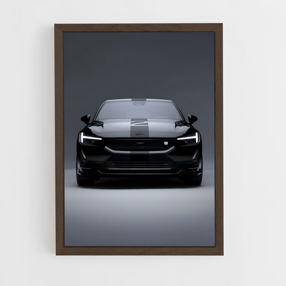 Poster Vision Polestar (vue 5)