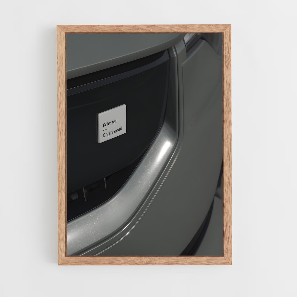 Poster Polestar Spirit (vue 4)