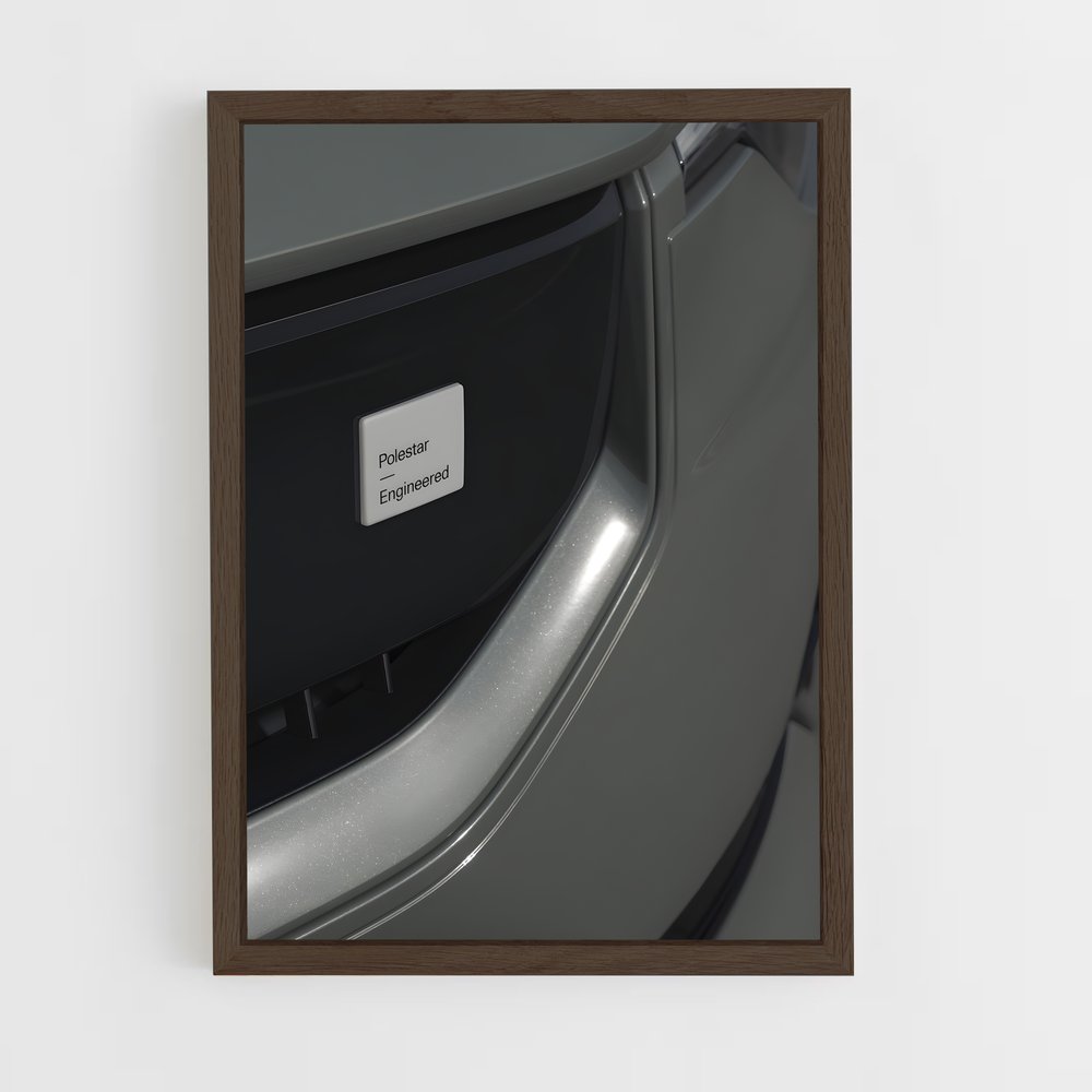 Poster Polestar Spirit (vue 5)